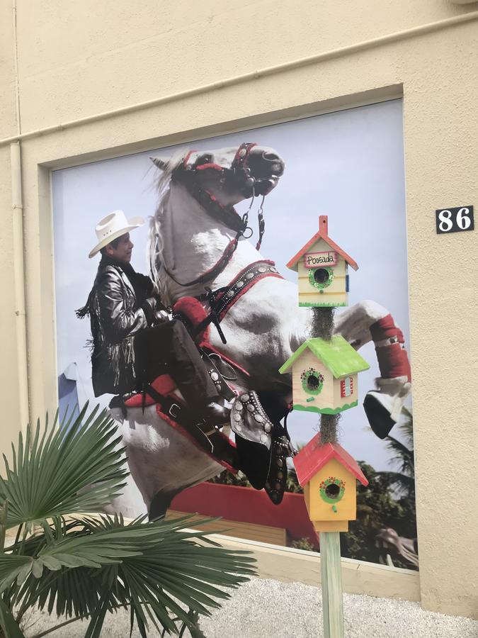 Pousada Recanto Do Cowboy Penha  Exteriér fotografie